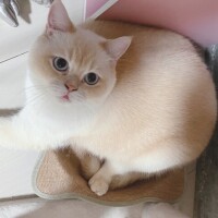 🩷今日はおやすみです🩷