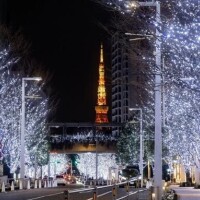 戻ってきたよん