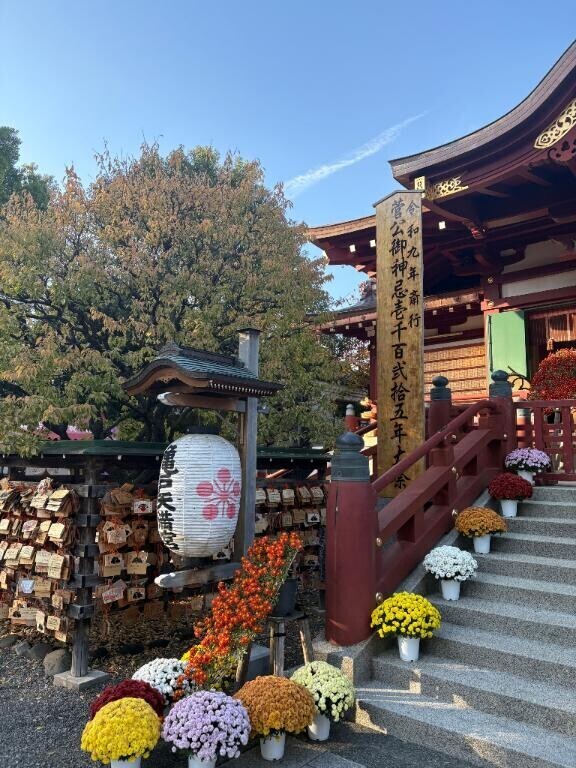 そろそろね、、