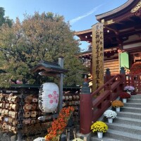 そろそろね、、