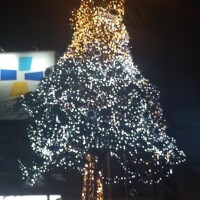 お疲れ様でした。