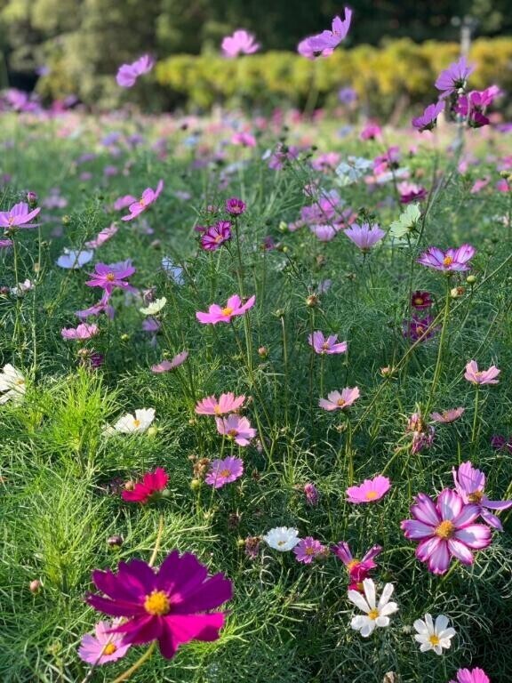 一昨日のお礼♡