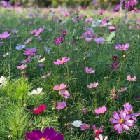 一昨日のお礼♡