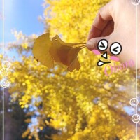 なぅ、これから日記。