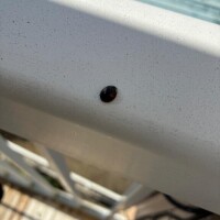 怪我の*\(^o^)/*巧名〜