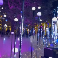 わ〜いヽ(´∀｀)ﾉ