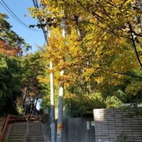 朗らかな…✧*｡