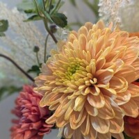 ♡♡満員御礼♡♡