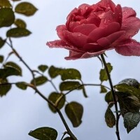 ご予約くださったお客様へ