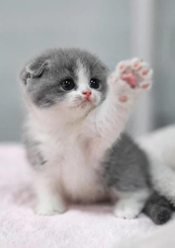 [お題]from:怖いんだけどさん