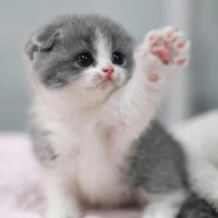 [お題]from:怖いんだけどさん