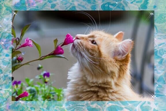 [お題]from:怖いんだけどさん