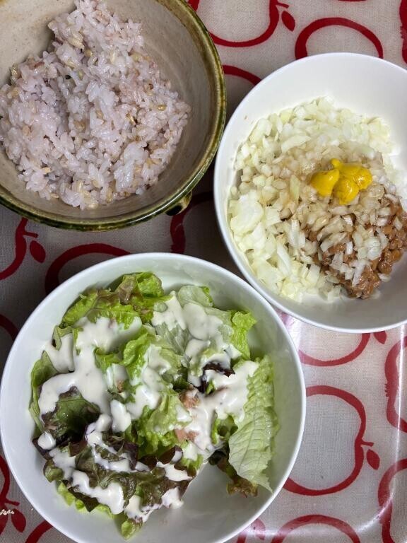 そそそ(・∀・)困った時の納豆ご飯