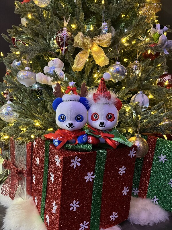 12月会える日🍒💖