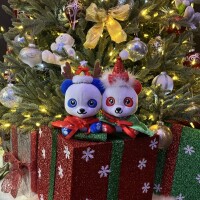 12月会える日🍒💖