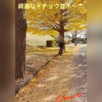 秋が終われば、冬が来〜る〜