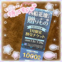 早い者勝ち👍🏻‪‪🤍