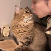 うちの可愛いひとり娘は…