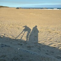 お久しぶりです