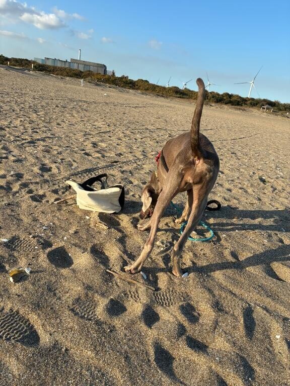出勤予定だしました
