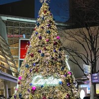 [お題]from:キキさん