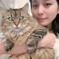 年末に向かっていく感じが…