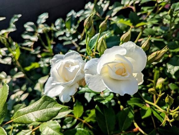 受付終了しました🫶