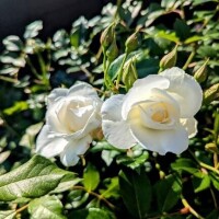 受付終了しました🫶