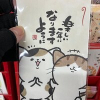 やっぱ違うわ、、