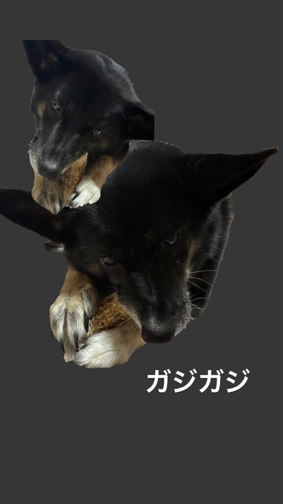 絶賛引きこもり中…