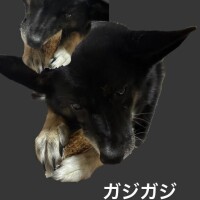 絶賛引きこもり中…