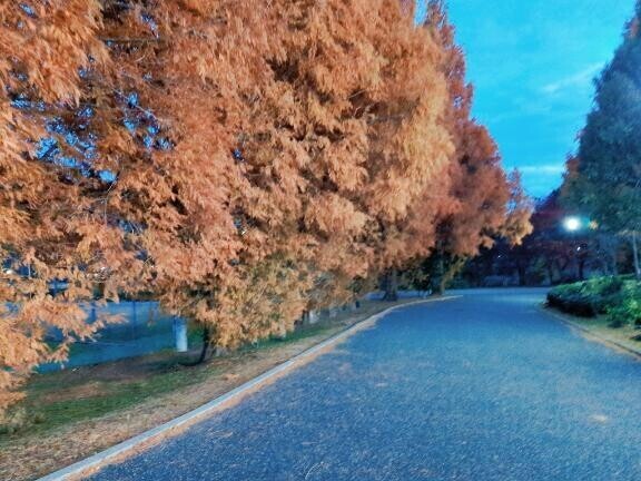 お○んぽ気分♪