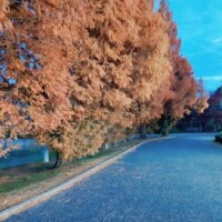 お○んぽ気分♪