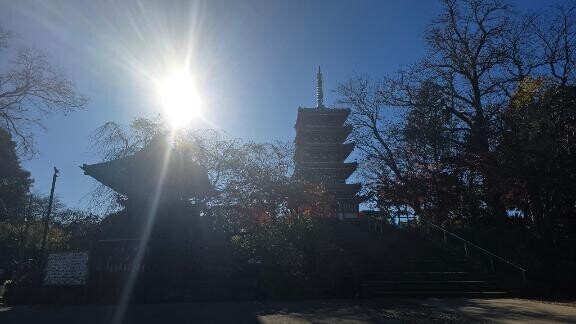 はじめまして☆