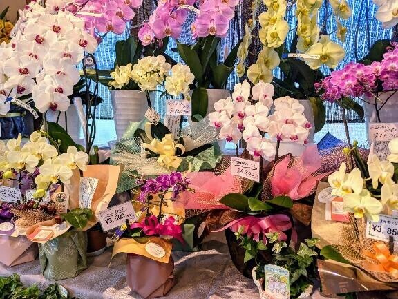 ♡♡満員御礼♡♡