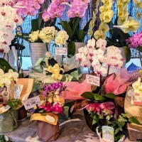 ♡♡満員御礼♡♡