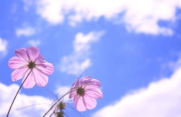 ♡12月14日、100分のY様♡