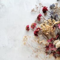 [お題]from:今はメールかなさん