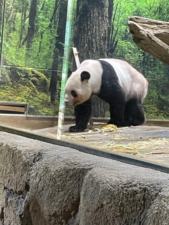 さやかリサーチ