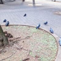 こんなデート、できたらいいな