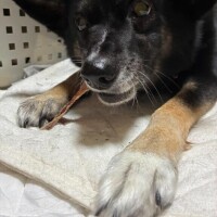 ちなみにねぇ…