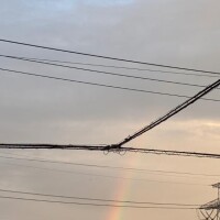 契約の証が*\(^o^)/*掛かっている