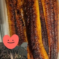 ありがとう(ФωФ)