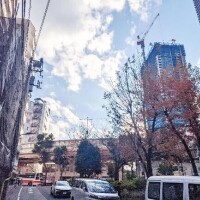 おさんぽデートしたいね