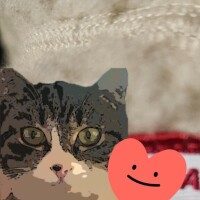 ありがとう(ФωФ)