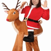 サンタは毎年変わらなんだ