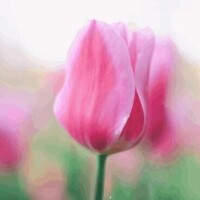 ♡12月28日、100分のT様♡