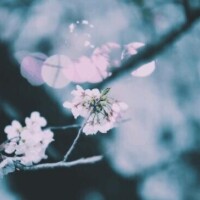 ♡12月29日、100分のW様♡