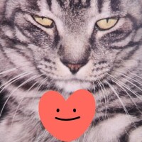 ありがとう(ФωФ)