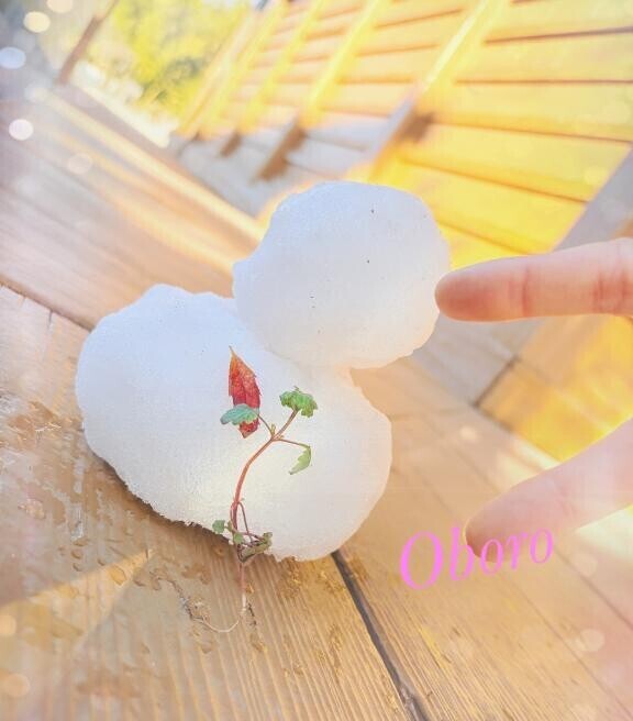 雪だるまくんと、日向ぼっこ♡